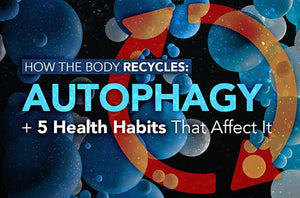 How the Body Recycles: Autophagy + 5 Health Habits That Affect It