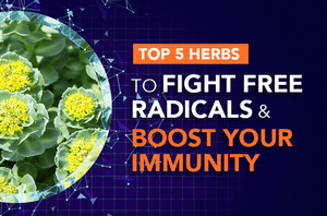 Top 5 Herbs to Fight Free Radicals and Boost Your Immunity