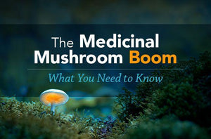 The Medicinal Mushroom Boom: What You Need to Know