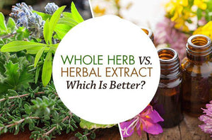 Whole Herb Vs. Herbal Extract: Which is Better?