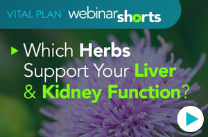 Which Herbs Support Liver and Kidney Function?
